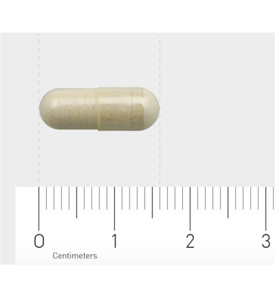 AOV 1106 Beta 1.3 glucaan (60 vega capsules) - image 3