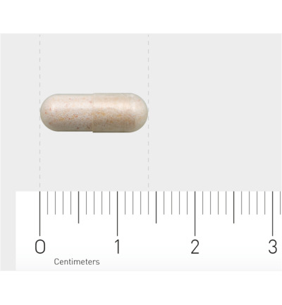 Aov 1201 Probiotica 4 Miljard (60 vega capsules) - image 3