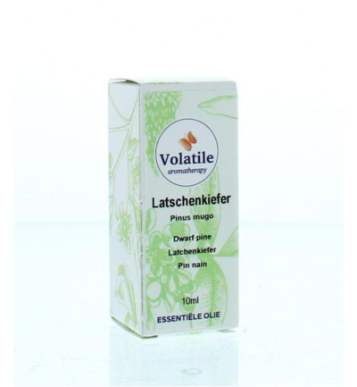 Volatile Latchenkiefer (10 ml)