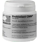 Naturapharma Probioticum Probiolact (100 capsules)