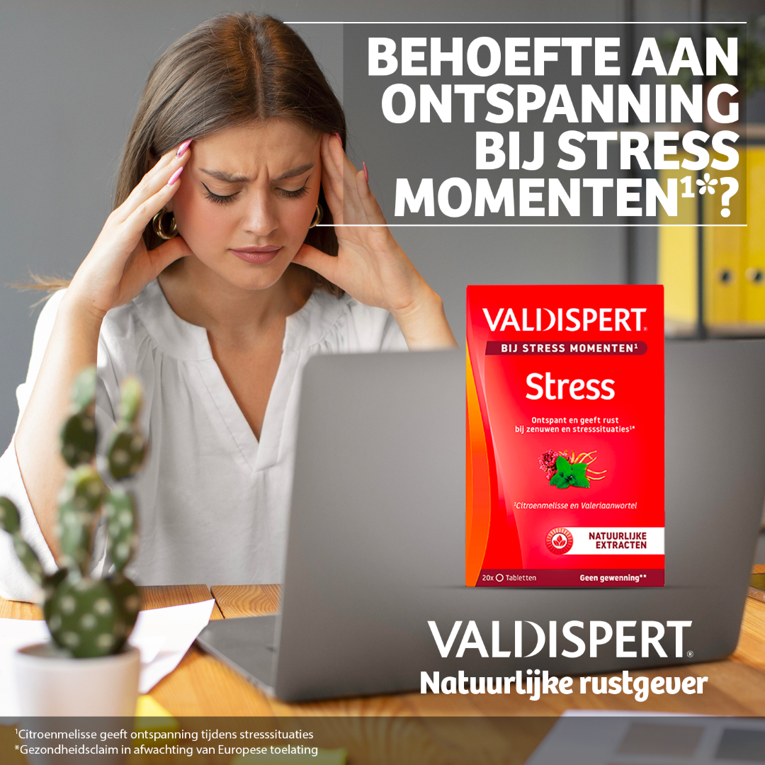 Valdispert Stress moments (20 tabletten)