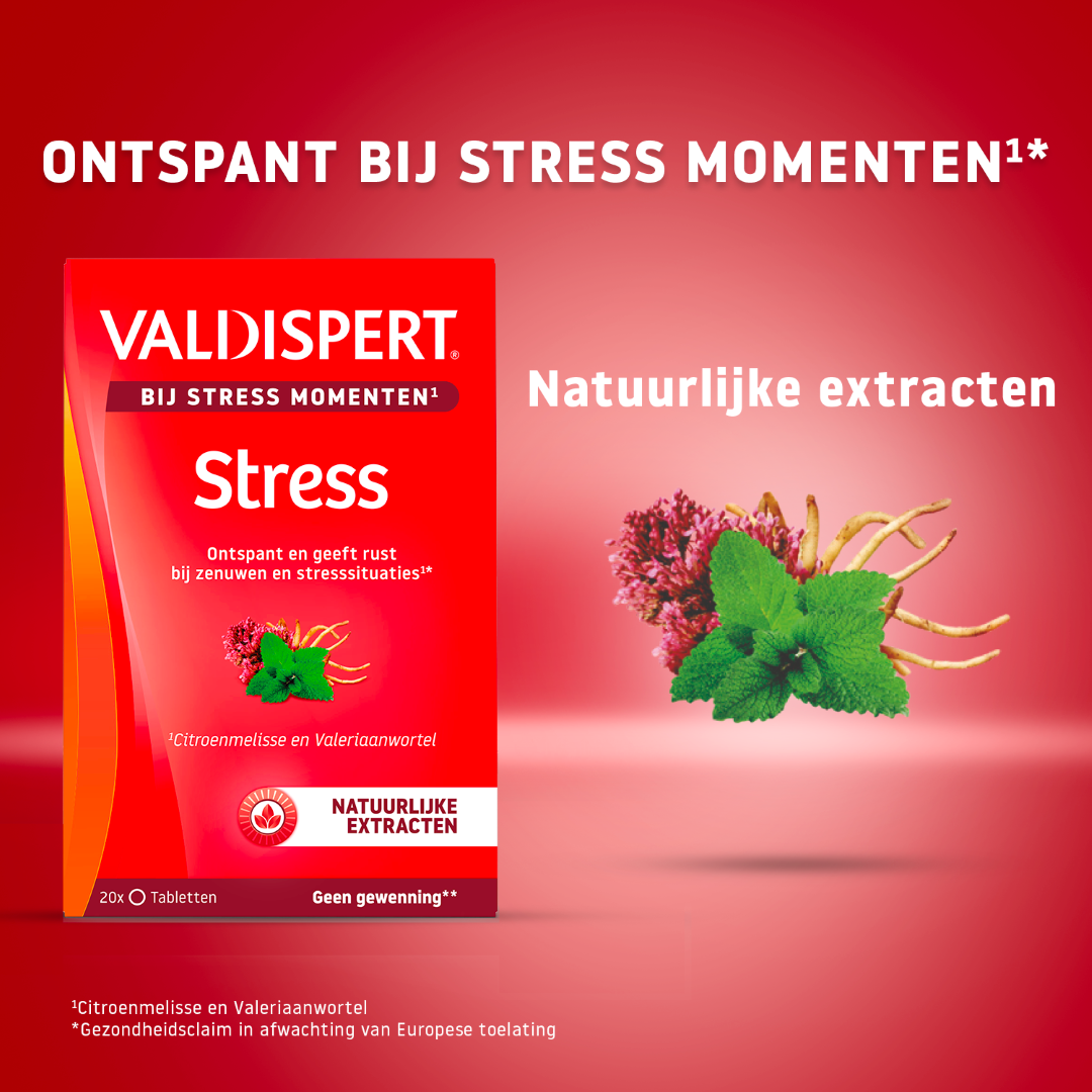 Valdispert Stress moments (20 tabletten) - image 2