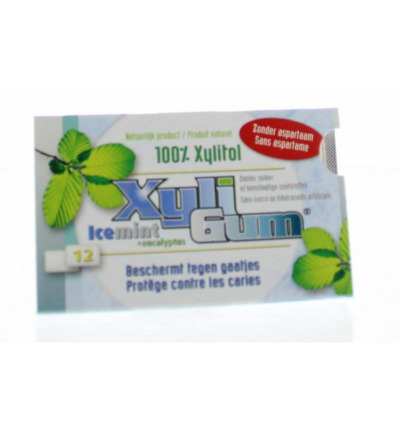 Xyligum Kauwgom icemint (15 gr)