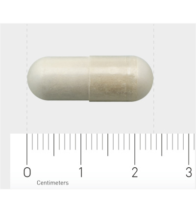 AOV 804 Boswellia extract (60 vega capsules) - image 3