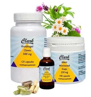 Holisan Parasietenkuur 6 week z ornithine/arginine (1 set)