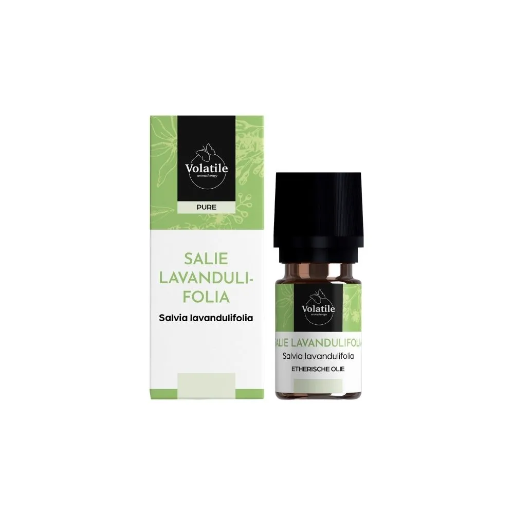 Volatile Salie Lavandulifolia (10 ml)