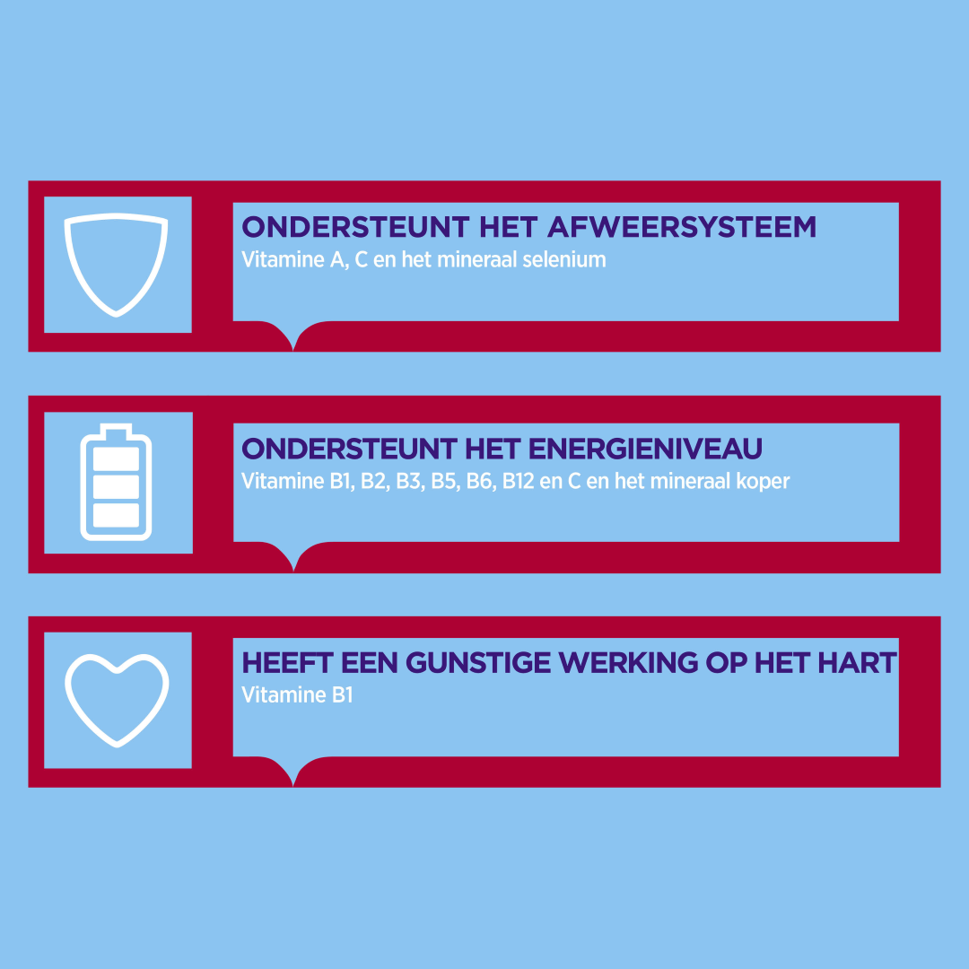 Dagravit Totaal 30 Multivitaminen (200 dragees) - image 2