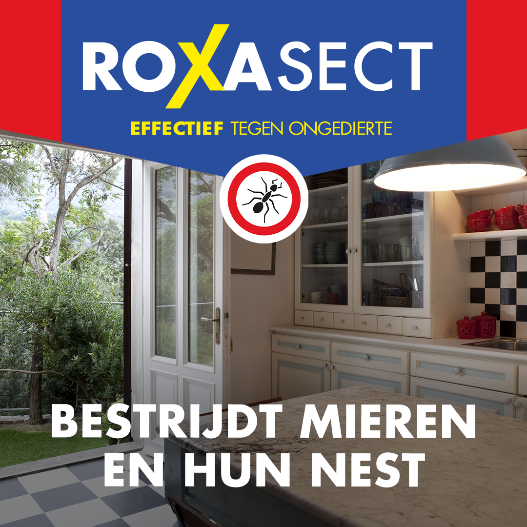 Roxasect Mierenloktoren (2 stuks)