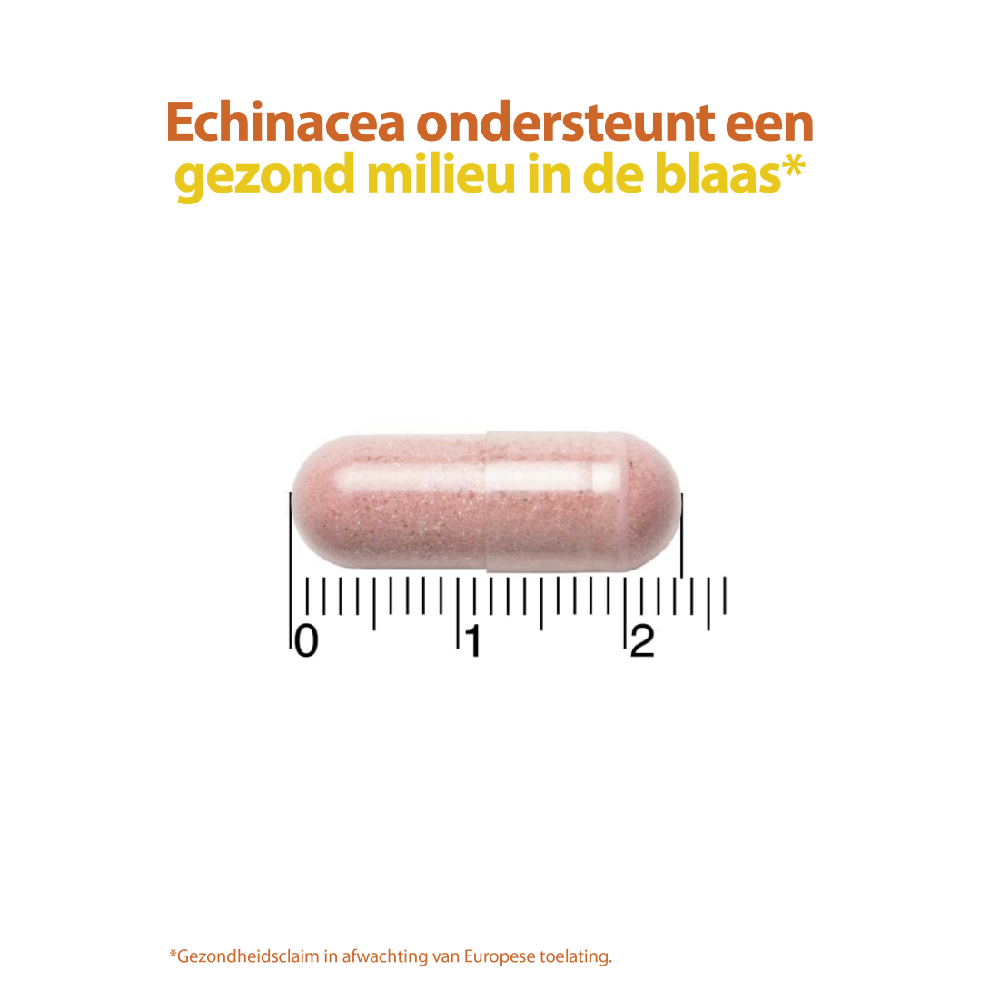 Roter Cranberry & Probiotica (30 capsules) - image 4