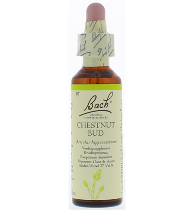 Bach Chestnut bud/kastanjeknop (20 ml)
