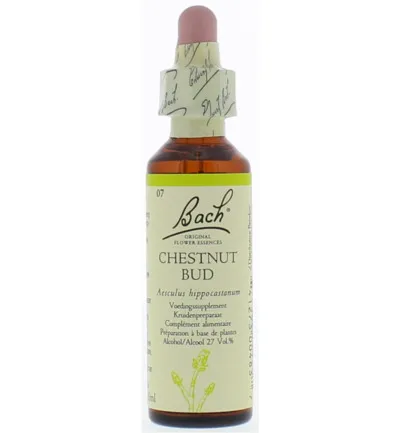 Bach Chestnut bud/kastanjeknop (20 ml)