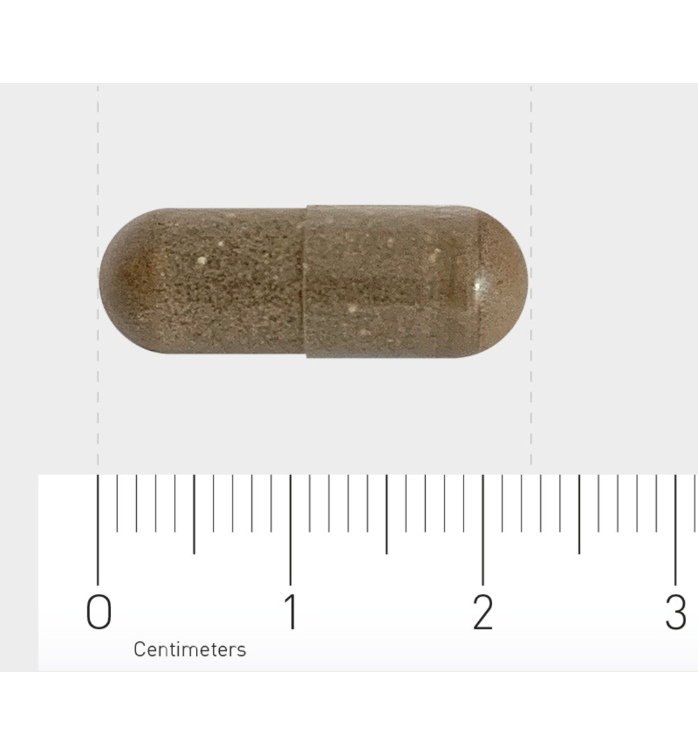 Orthica Slaap Support (60 vega capsules) - image 3