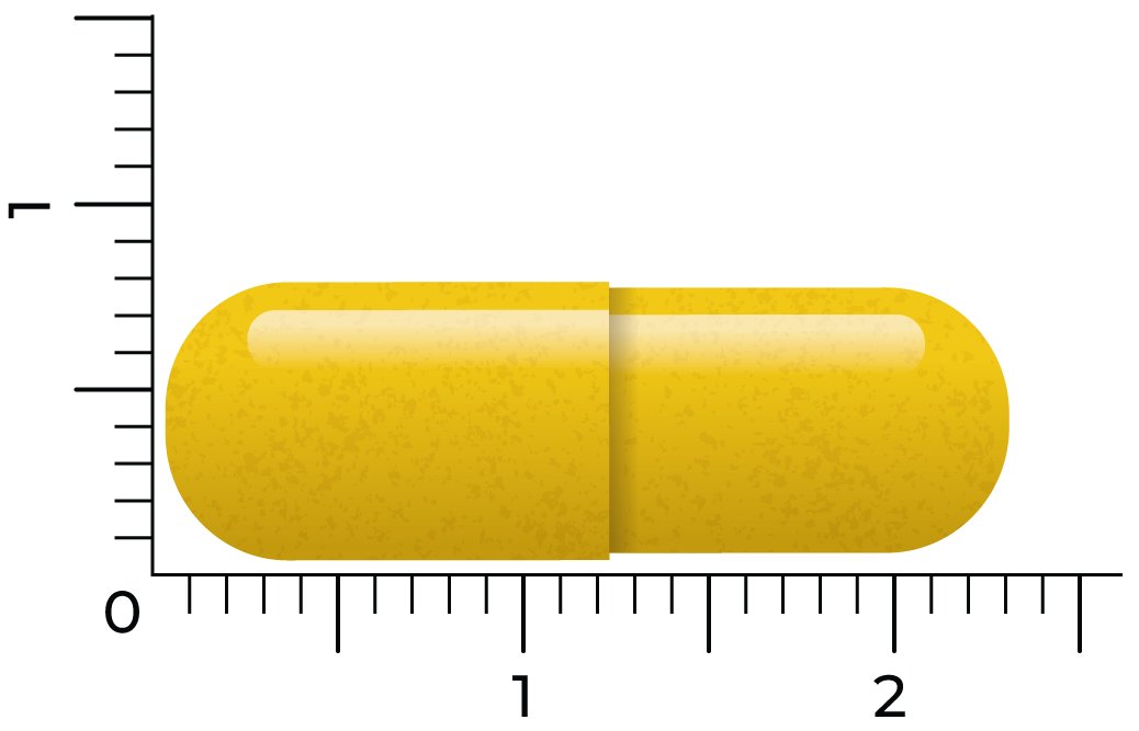 Vitakruid Berberine 500 Rebersa® 97-102% Berberine Zouten (60 vega capsules) - image 3