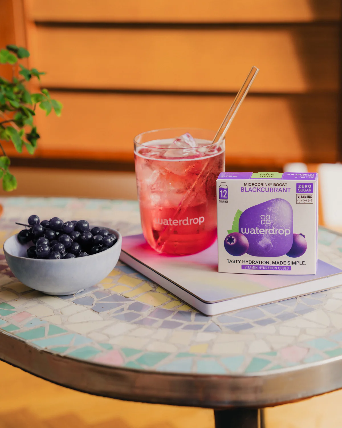 Waterdrop Microdrink Boost Bruistablet Blackberry (12 stuks)