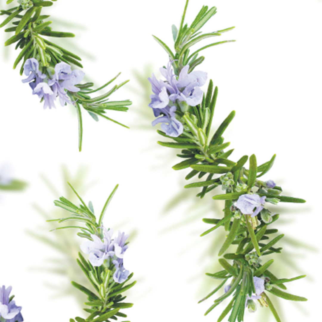 Kneipp Badolie rozemarijn new energy (100 ml) - image 2