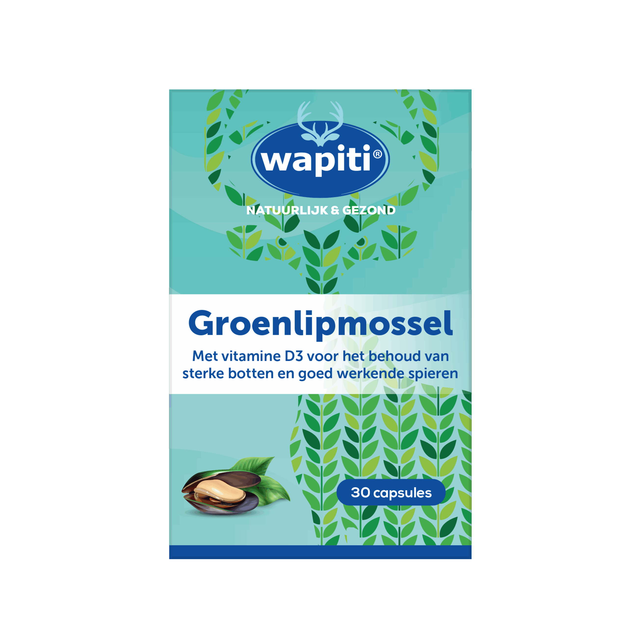 Wapiti Mossel extract (30 capsules)