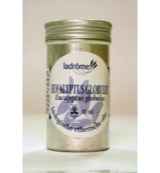 Ladrôme Eucalyptus globulus olie bio (10 ml)