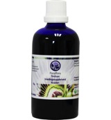 B Nagel Passiflora tinctuur (100 ml)