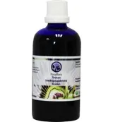 B Nagel Passiflora tinctuur (100 ml)