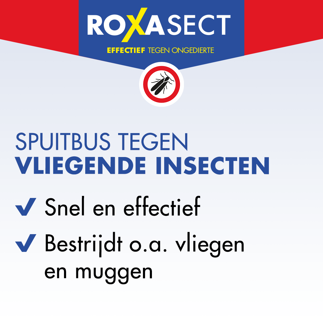 Roxasect Spuitbus vliegende insecten (400 ml) - image 2