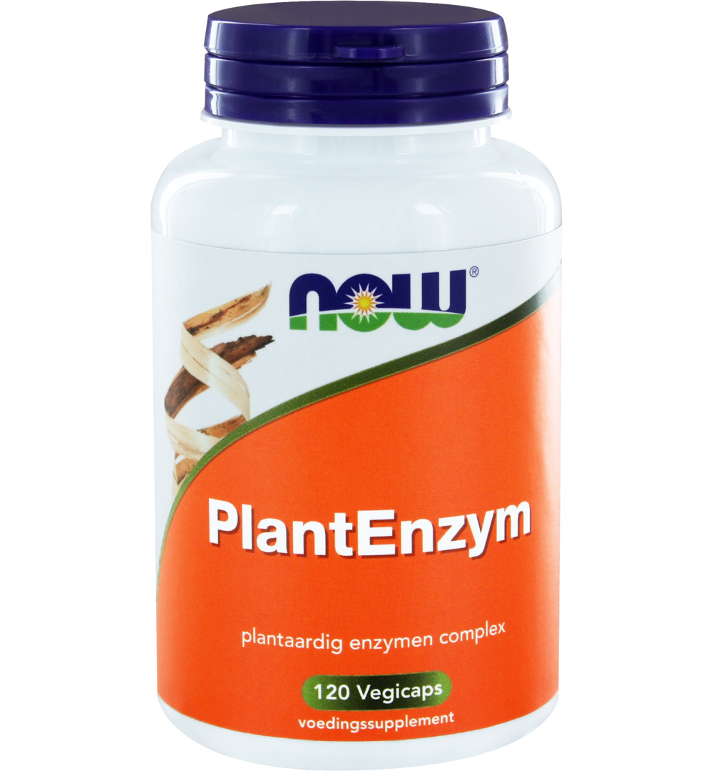 Now PlantEnzym (120 vega capsules)
