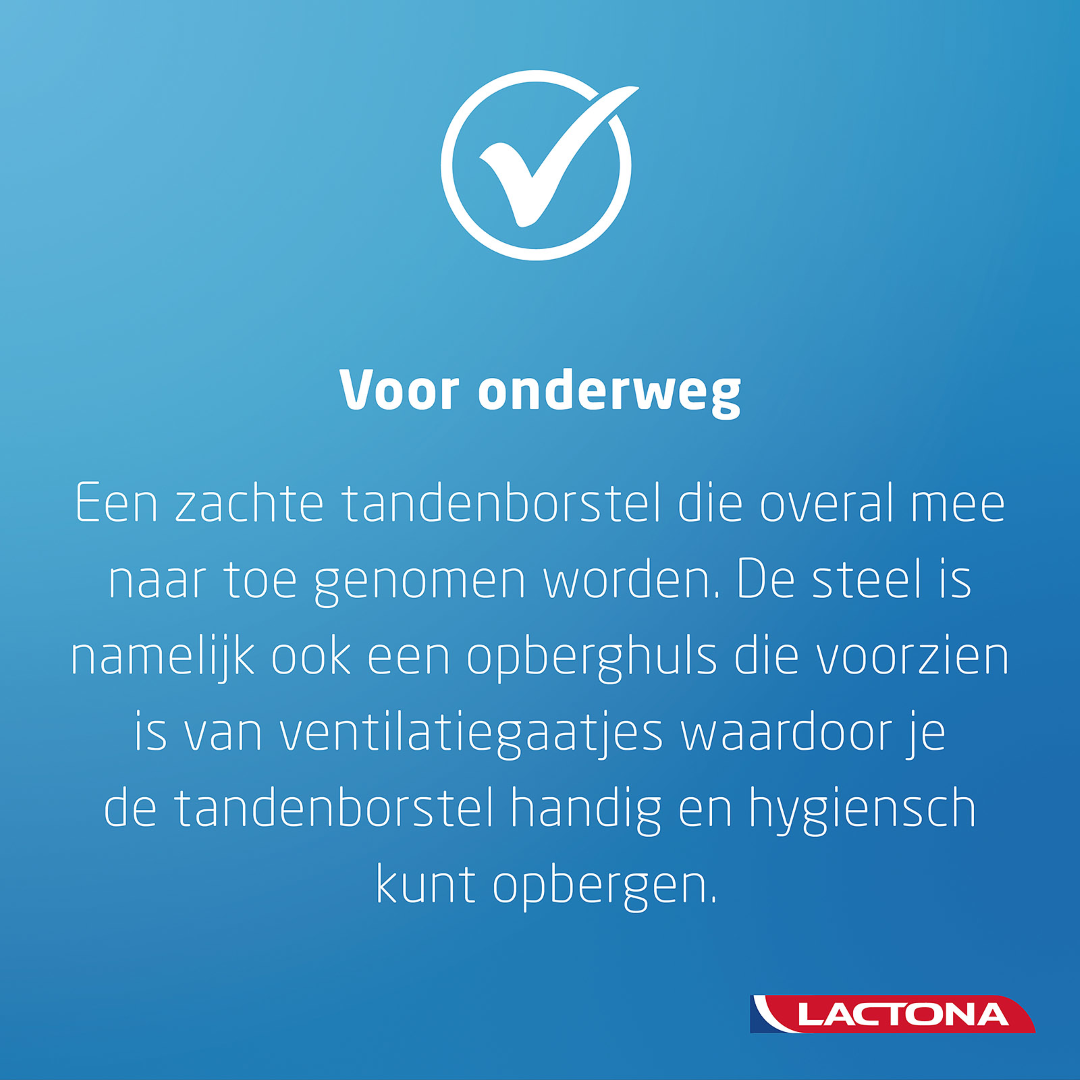 Lactona Reisborstel C139 nylon (1 stuk)