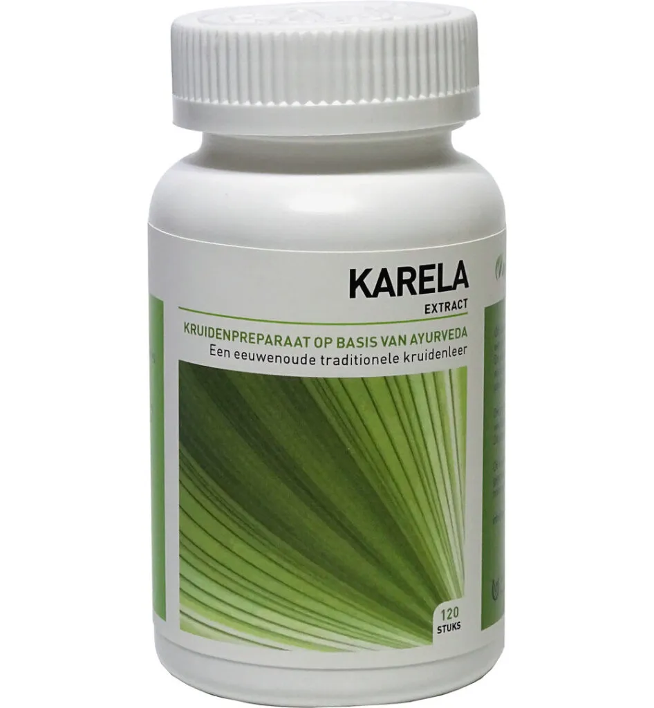 Ayurveda Health Karela momordica (120 tabletten)