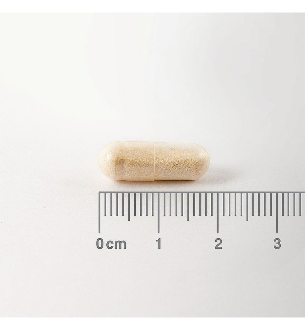 Lamberts Digestizyme spijsverteringsenzymen (100 vega capsules) - image 2