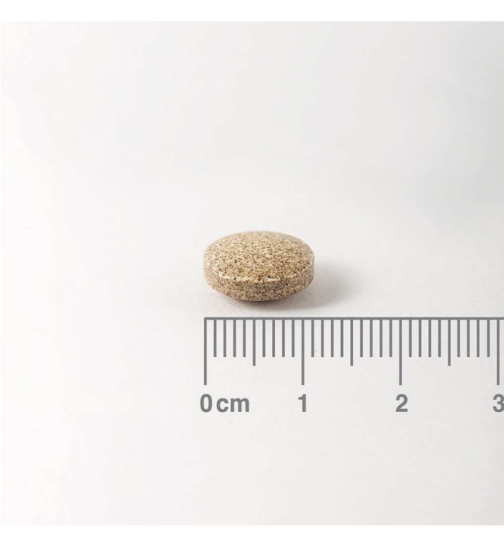 Lamberts Ginkgo 6000 (180 tabletten) - image 2