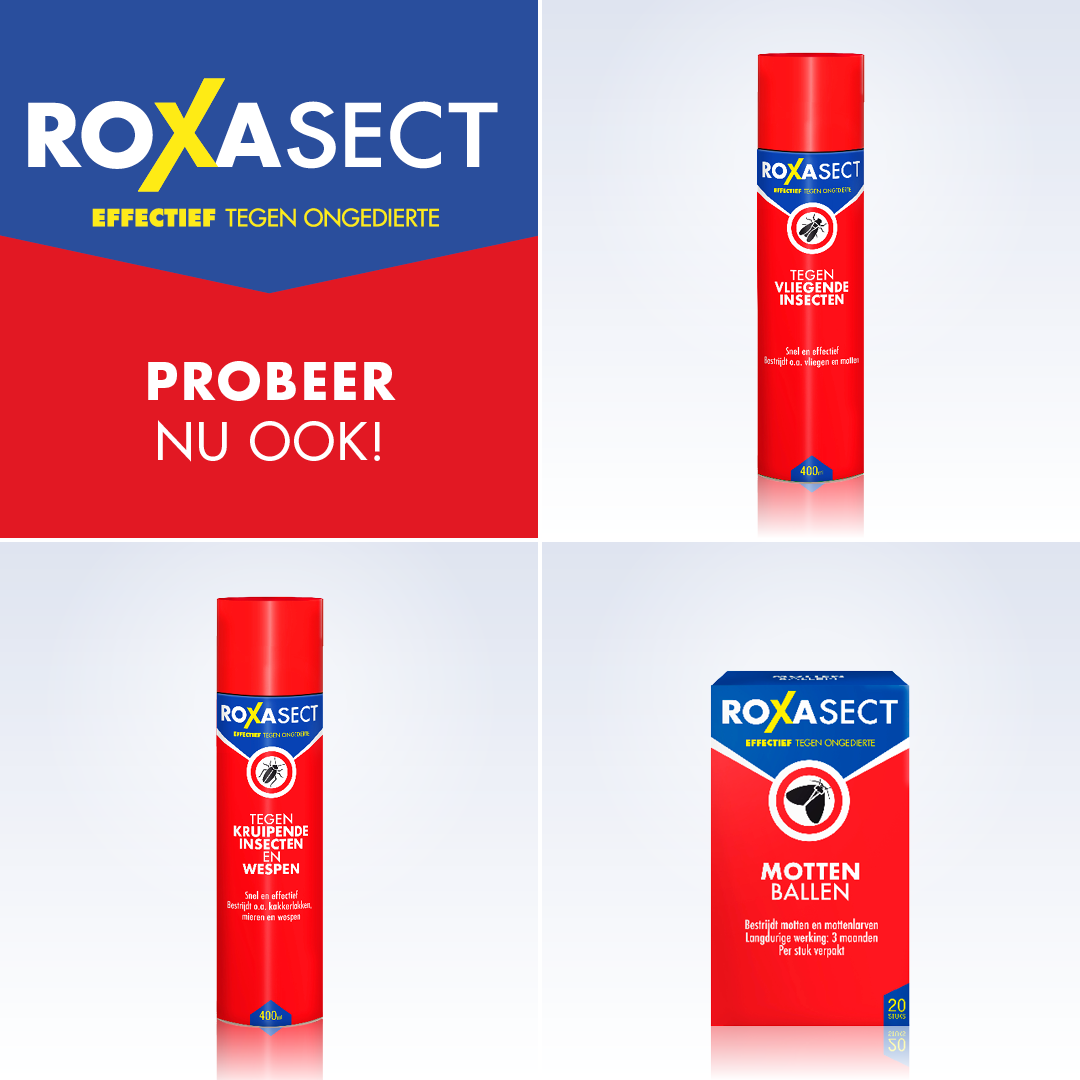 Roxasect Zilvervisjesval (2 stuks) - image 5