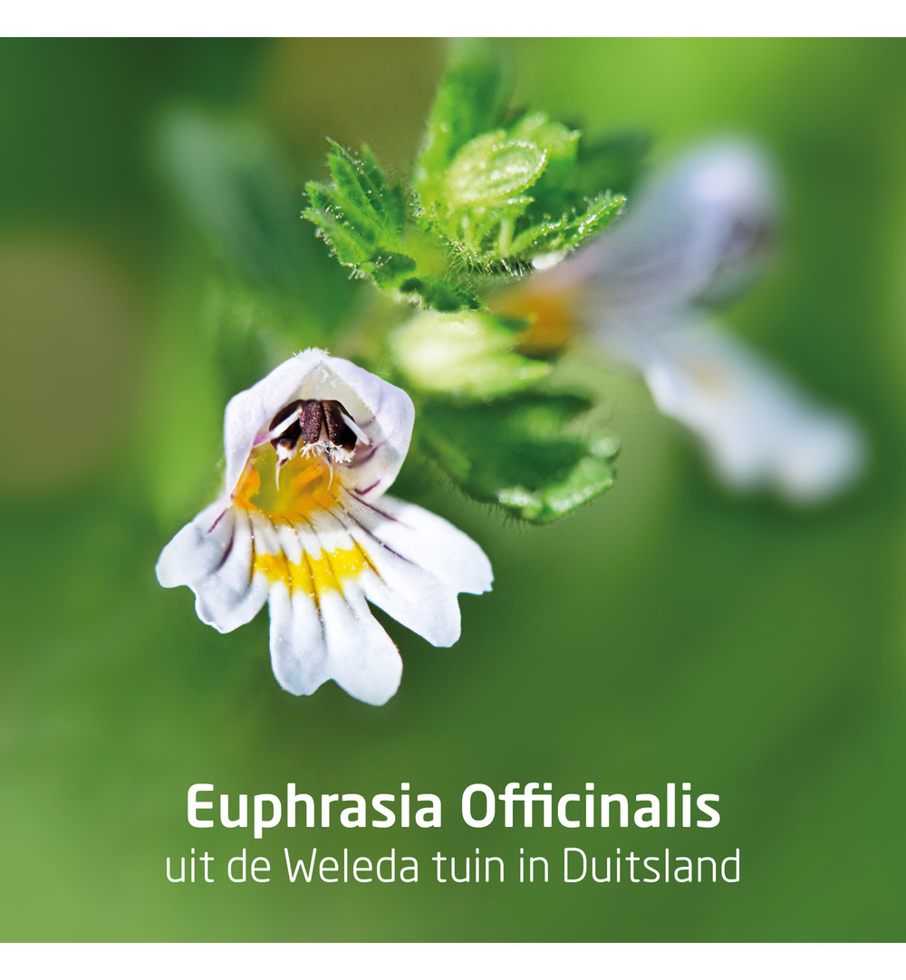 WELEDA Ogentroost oogdruppels (10 ml) - image 4