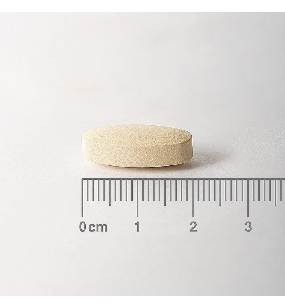 Lamberts Vitamine C 500mg rutine & bioflavonoiden (90 tabletten) - image 2