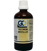 Go Vaccinium myrtillus bio (100 ml)