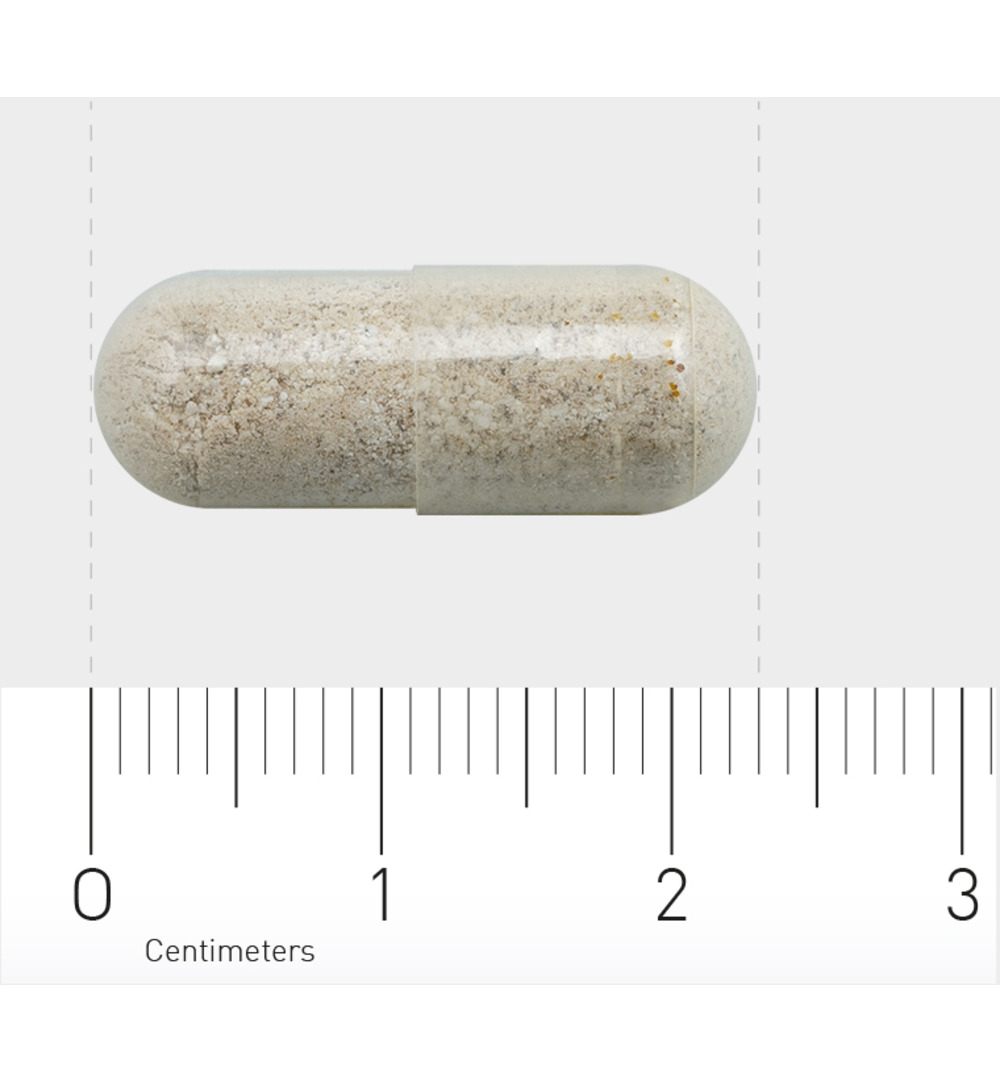 Orthica Magnesium plus (60 capsules) - image 3