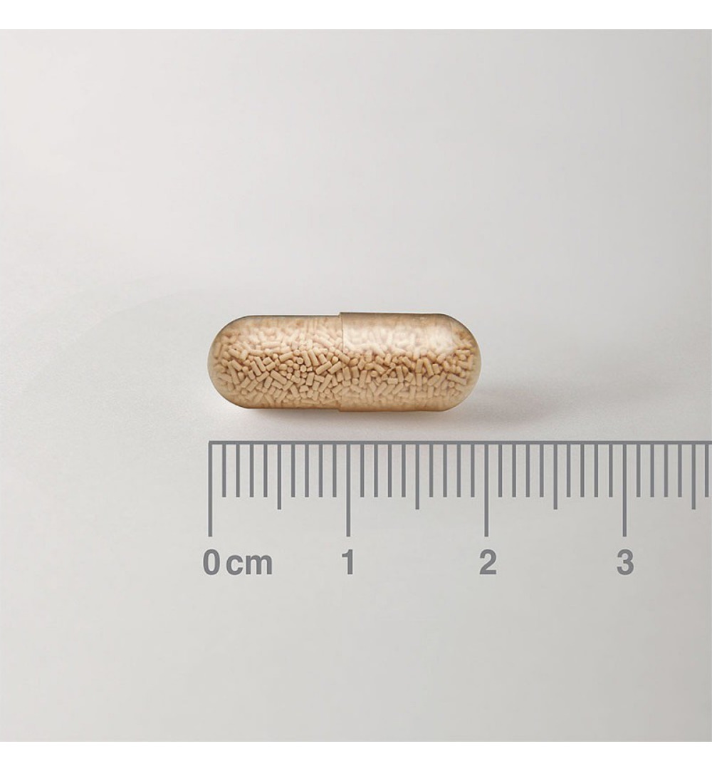 Lamberts Saccharomyces boulardii 300mg (30 capsules) - image 2