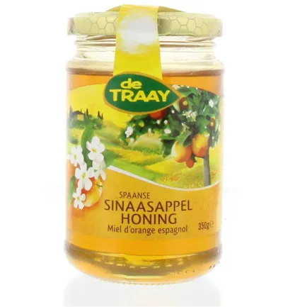 De Traay Sinaasappel honing (350 gr)