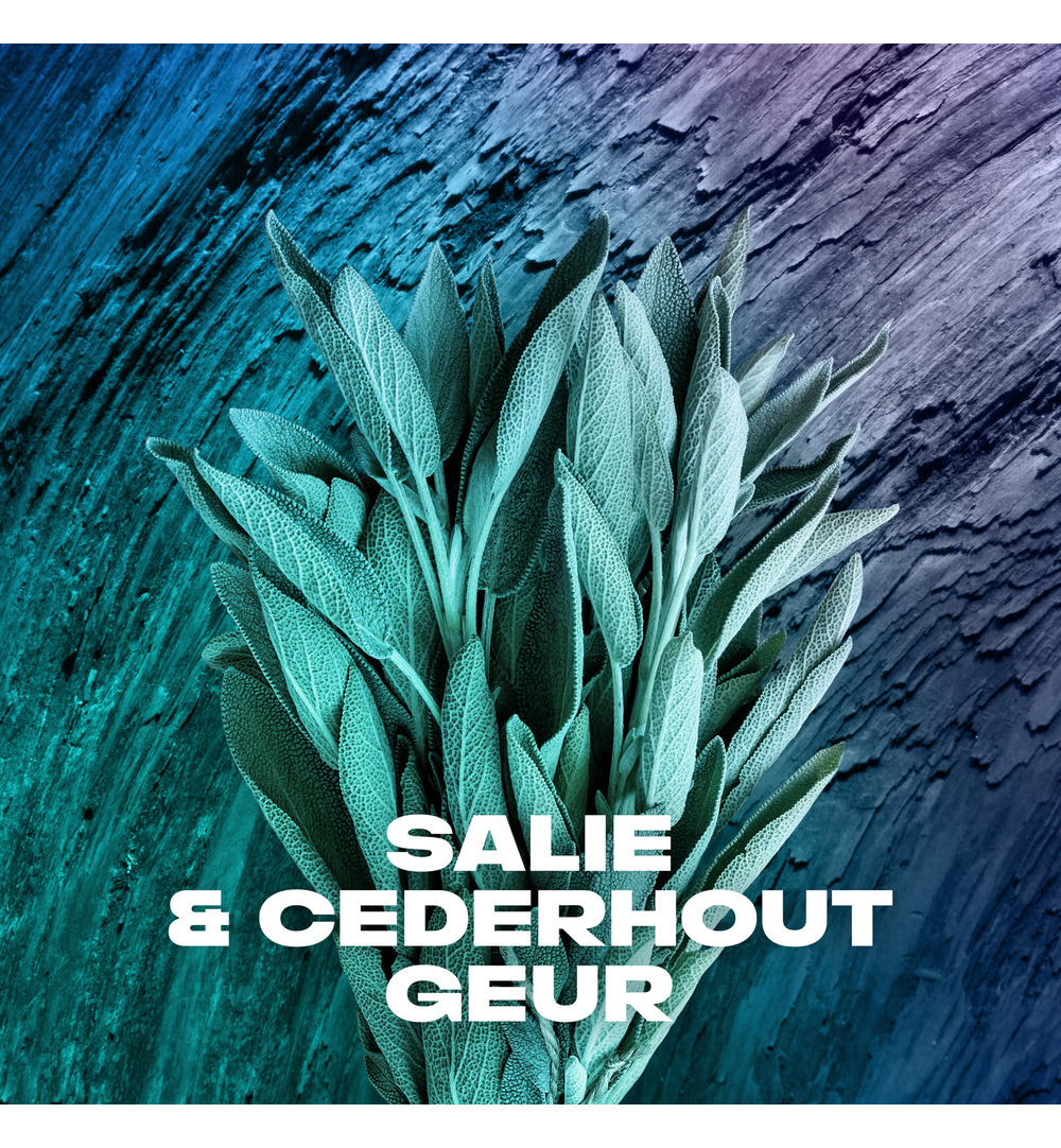 Axe Showergel apollo (250 ml) - image 5