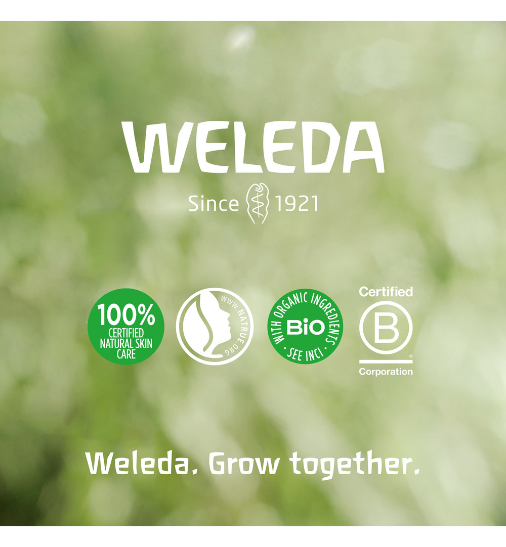 WELEDA Iris balancerende nachtcreme (30 ml) - image 5