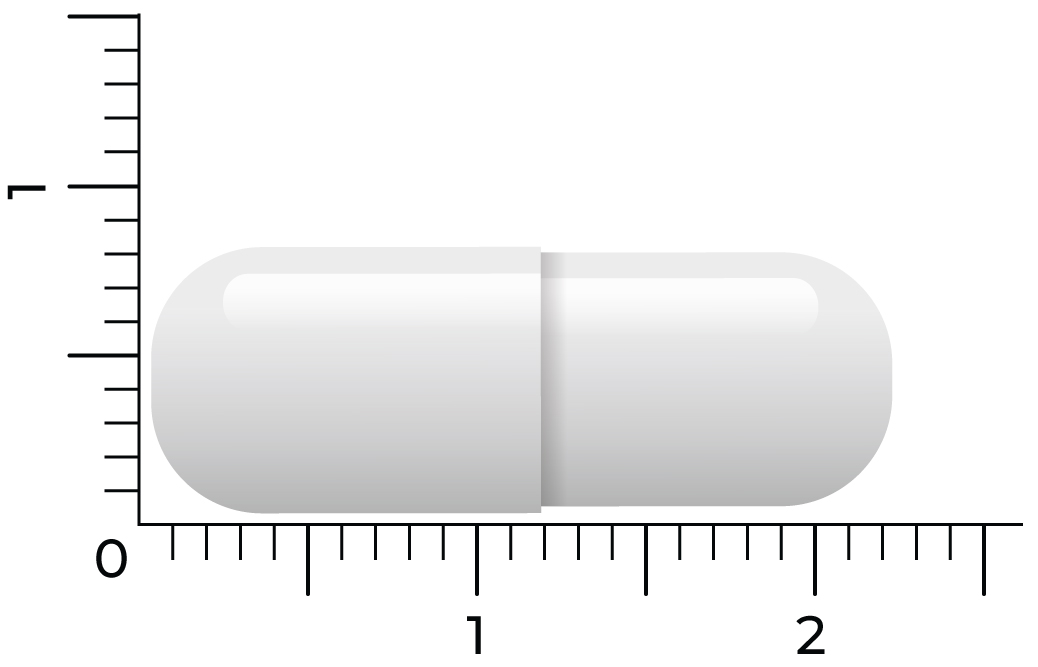 Vitakruid D-Mannose 500 Gewonnen Uit Cranberry (90 vega capsules) - image 4