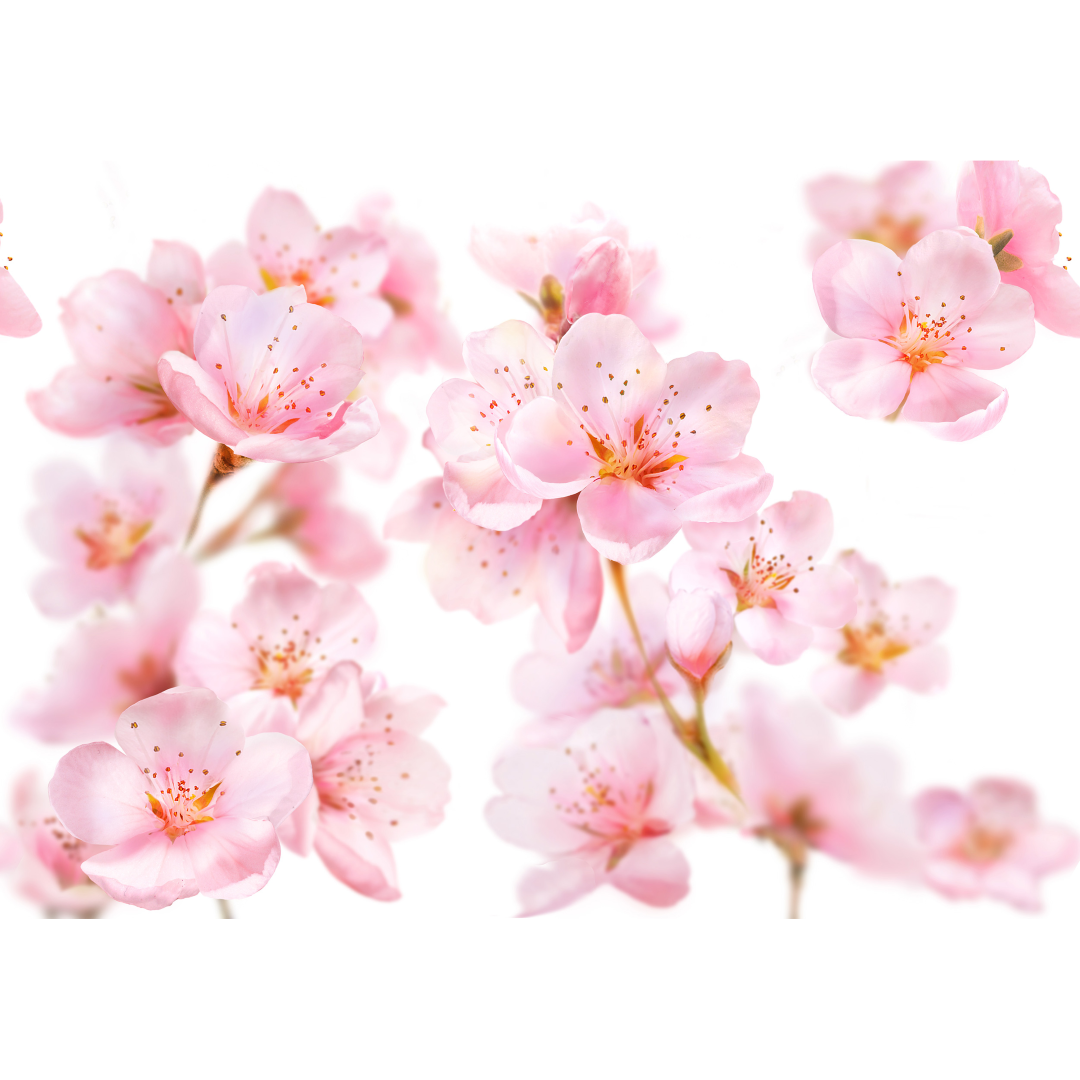 Kneipp Body lotion sensitive soft skin amandel (200 ml) - image 3