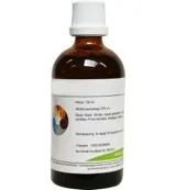 Balance Pharma HGP036 Gemmoplex trauma lymf (100 ml)