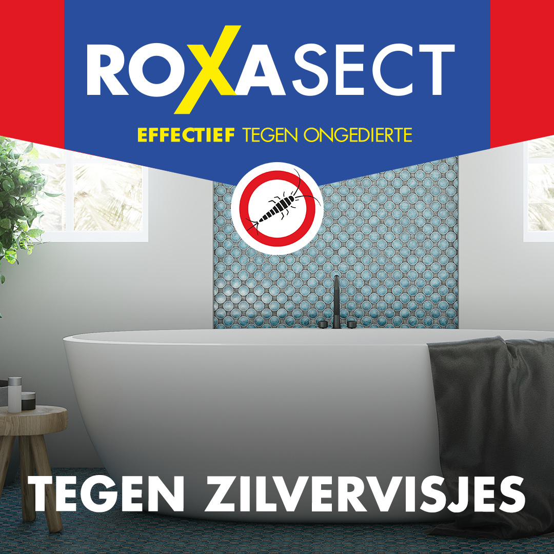 Roxasect Spuitbus tegen zilvervisjes (400 ml)