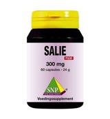 Snp Salie 300 mg puur (60 capsules)