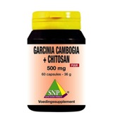Snp Garcinia cambogia chitosan 500 mg puur (60 capsules)