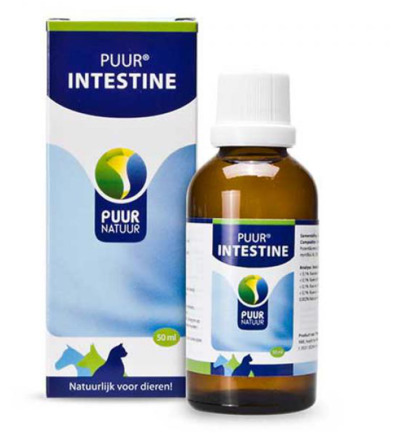 Puur Intestine / Darm (50 ml)