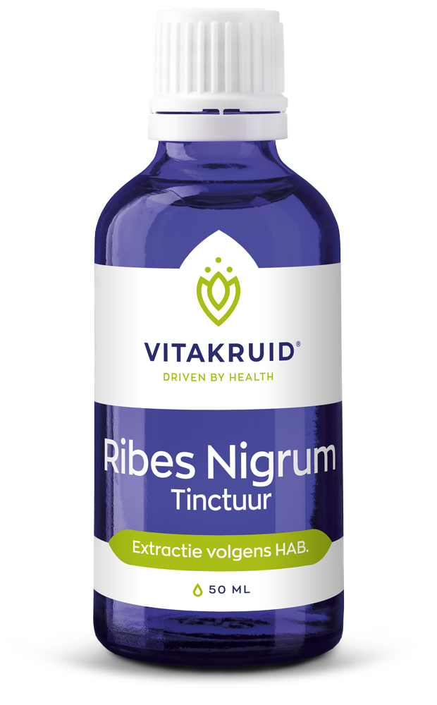 Vitakruid Ribes Nigrum Zwarte Bes Tinctuur 1:10 (50 ml)