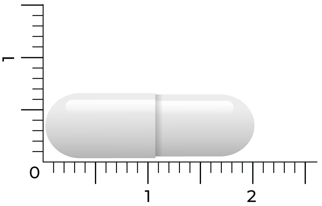 Vitakruid Zink Methionine & Koper Gluconaat (90 vega capsules) - image 4