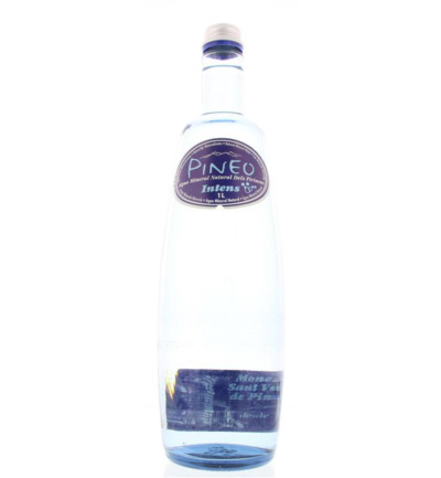 Pineo Intens met koolstofdioxide (1000 ml)