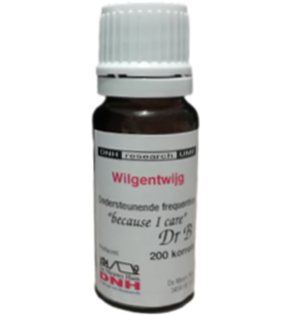 Dnh Wilgentwijg (200 stuks)