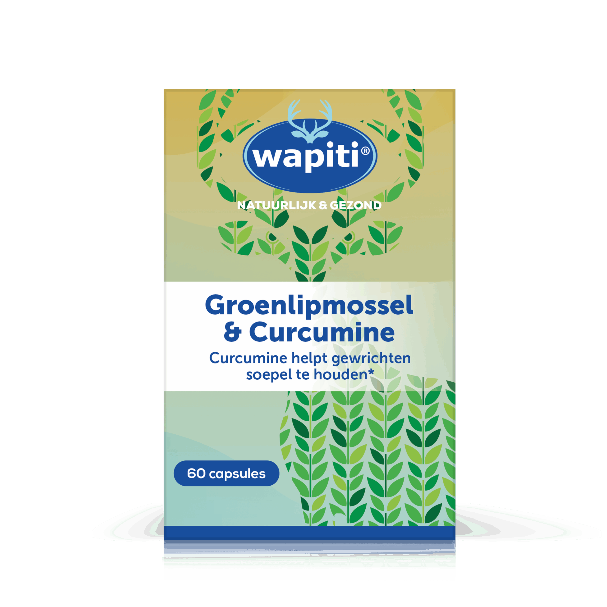 Wapitigroenlipmossel & curcuma (60 capsules)